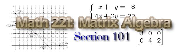 Mathematics 221 Section 101